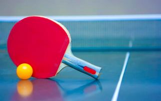 經(jīng)常參加乒乓球運(yùn)動(dòng)對人體有哪些好處