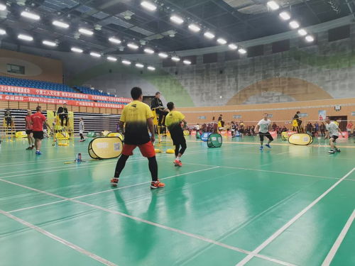 2019川崎慈善杯暨九天網(wǎng)羽羽毛球團(tuán)體邀請(qǐng)賽 網(wǎng)絡(luò)競(jìng)技與公益交融的盛會(huì)圓滿(mǎn)成功